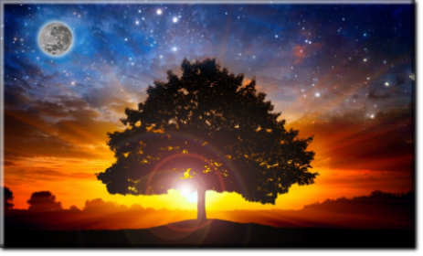 L'arbre de vie